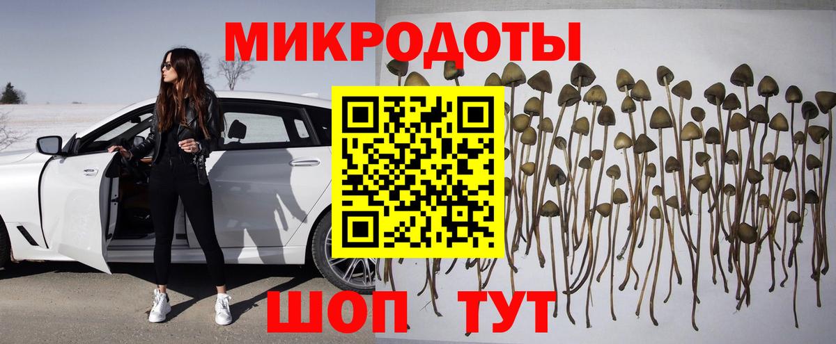 Галлюциногенные грибы прущие грибы Ангарск